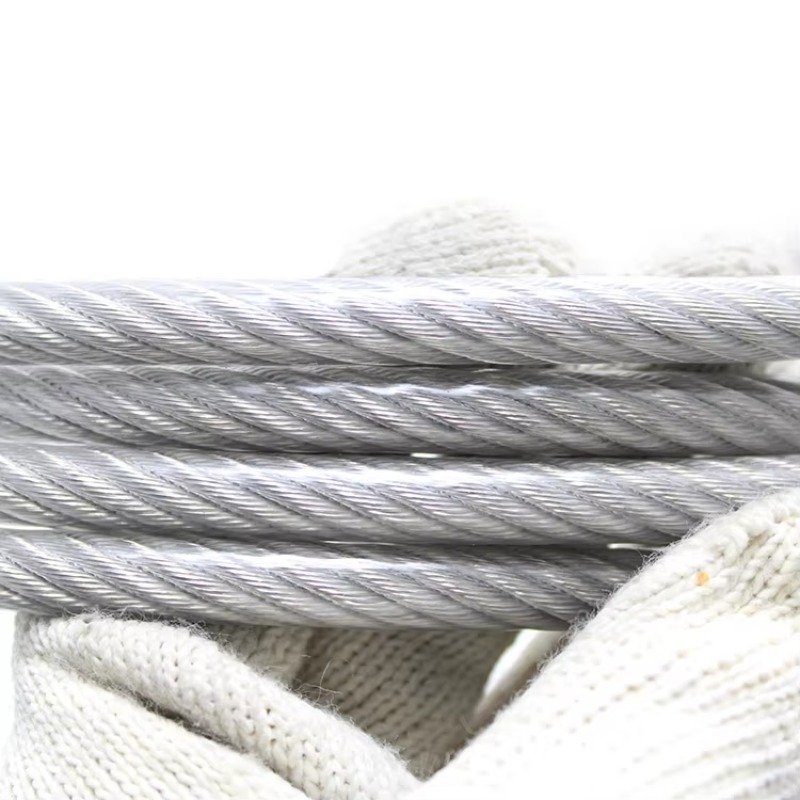 Corda de fio revestida de nylo - Stainless Wire Ss316 avaliação e preço